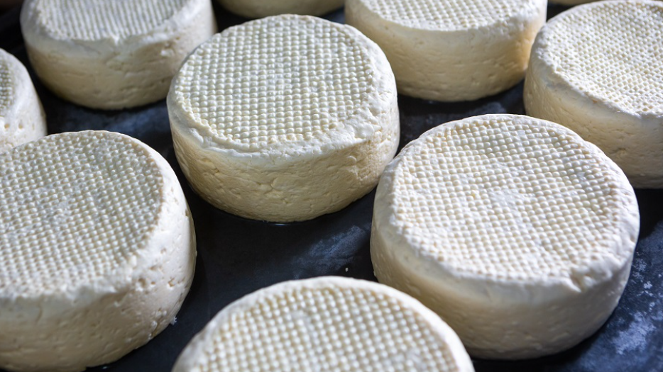 Anvisa suspende venda de queijo artesanal e molho pesto por irregularidades