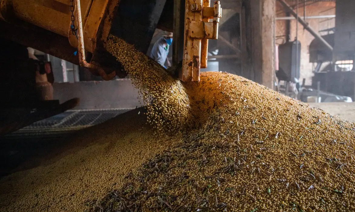 Produção de grãos no Brasil deve crescer 1,4% em 2026/2027 apesar do El Niño