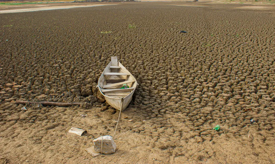 Brasil se Compromete a Recuperar 163 Mil km² de Terras Degradadas até 2030