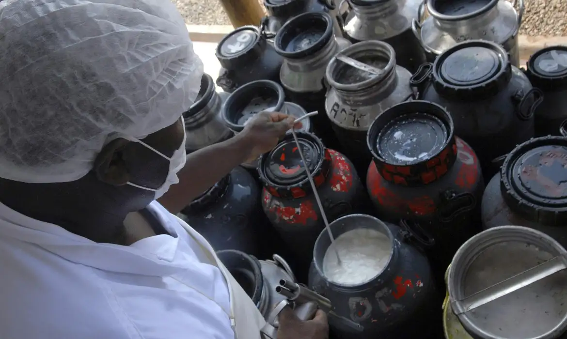 CMN aprova linha de crédito emergencial para cooperativas de leite