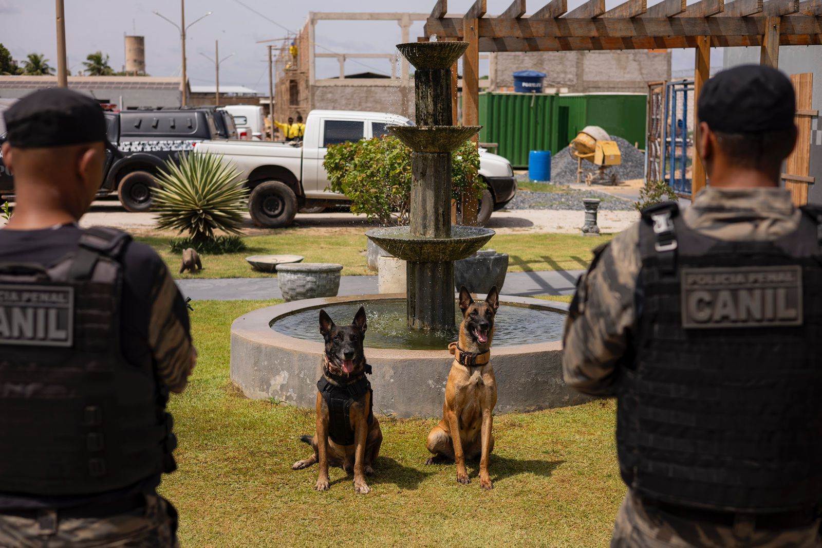 Equipes caninas das forças de segurança disputam torneio em Cuiabá