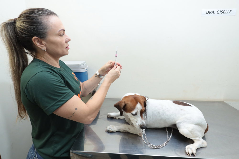 Consultório Móvel oferece atendimento veterinário gratuito no Jardim Aeroporto