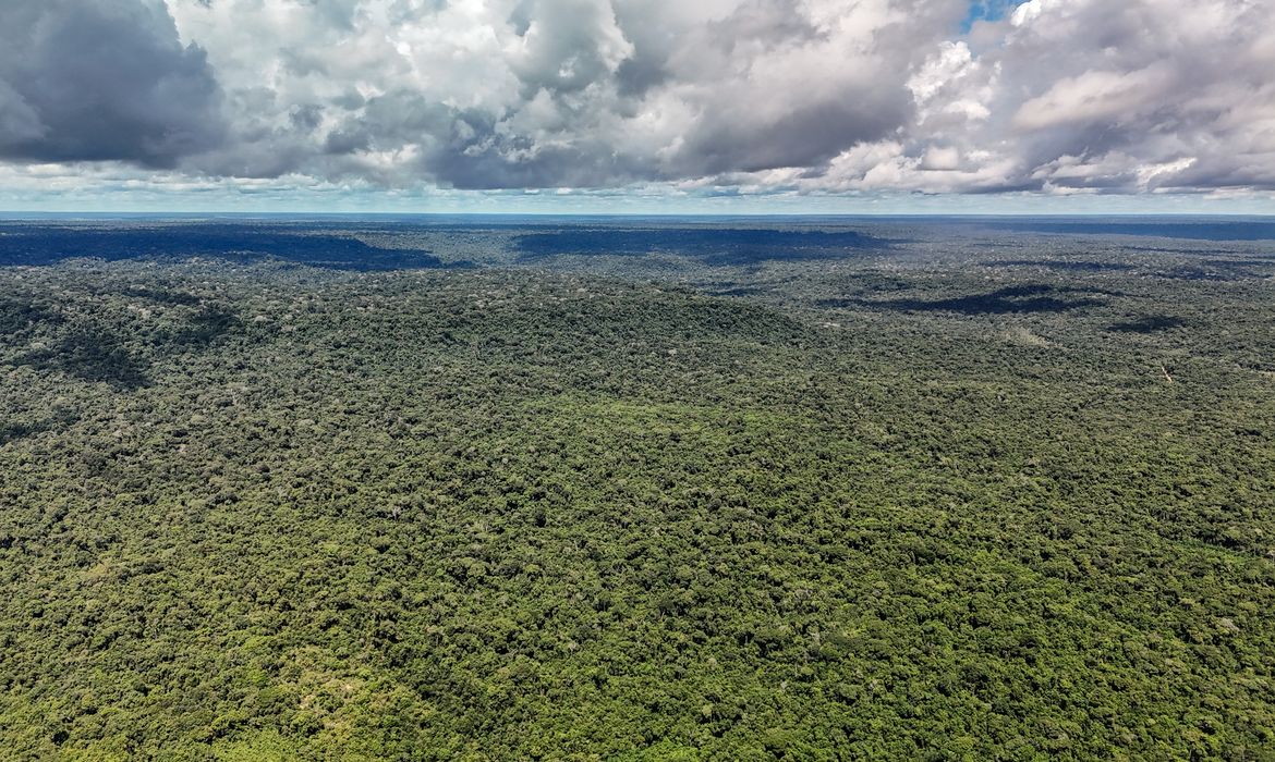 Desmatamento na Amazônia cai ao menor nível em 41 anos, revela MapBiomas