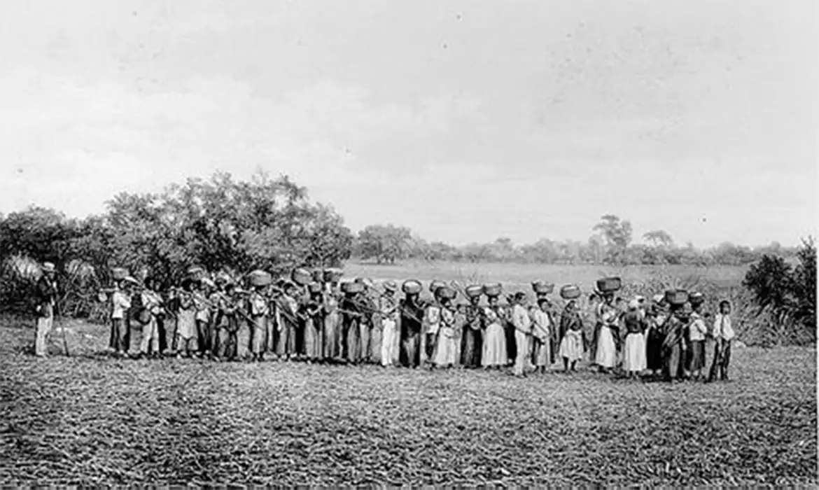 Genealogia revela que empresários pró-ditadura têm raízes escravistas