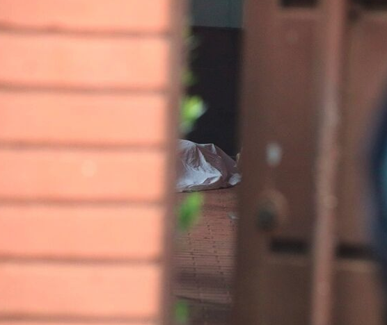 Ex-prefeito Alcides Bernal atira e mata homem em disputa por imóvel