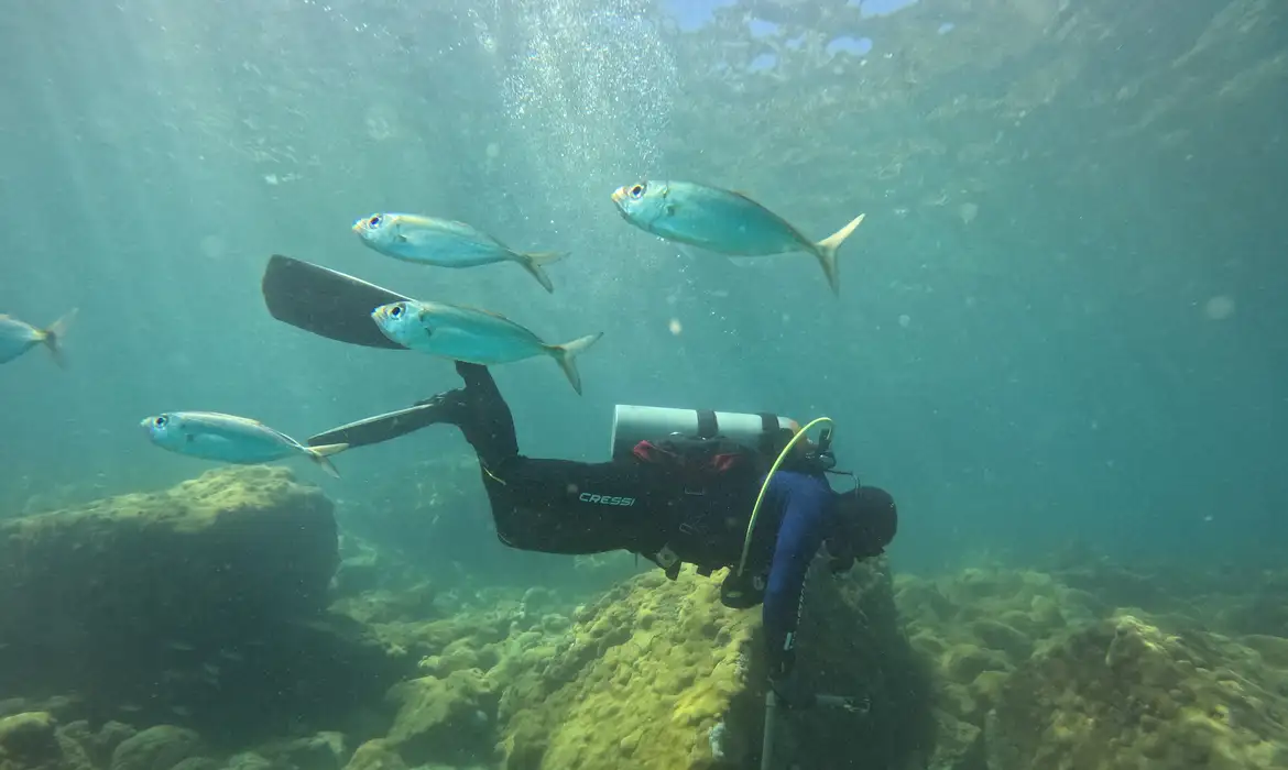 Projeto científico amplia monitoramento de costões rochosos em Arraial do Cabo