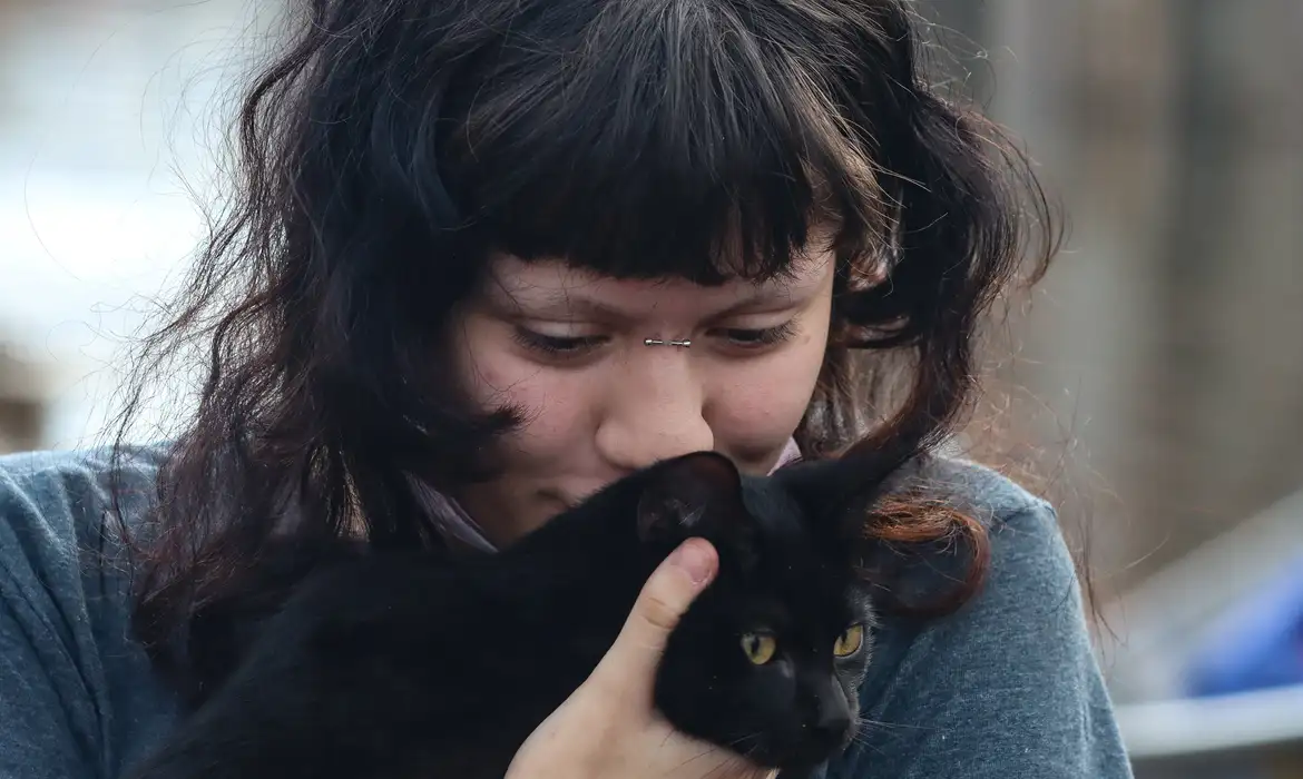 Prefeitura de SP oferece castração gratuita para cães e gatos