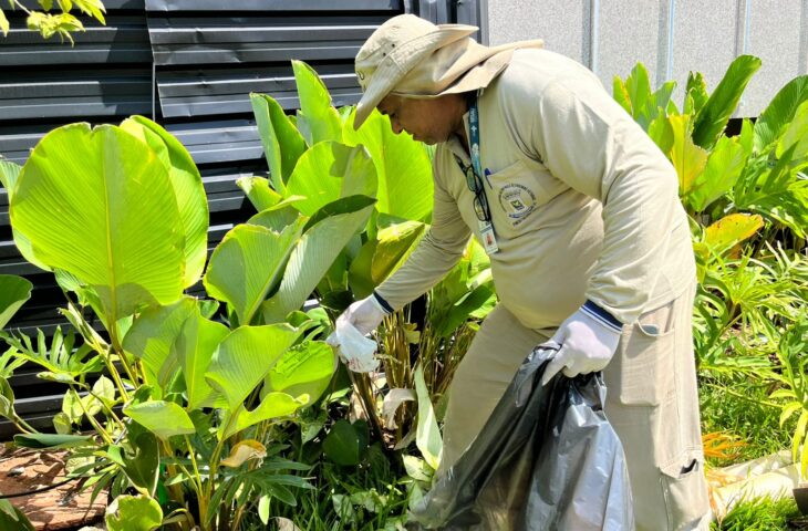 Chikungunya atinge mais de 10 mil casos confirmados em MS neste ano