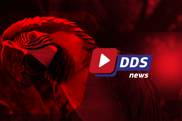 Mato Grosso do Sul disponibiliza leitos para Chikungunya em Dourados