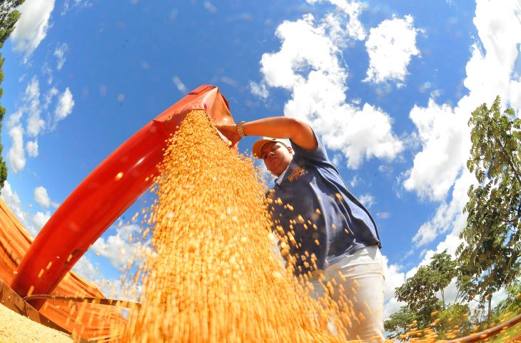 Conquista Marcante: Produção Agropecuária do MS Em Alta