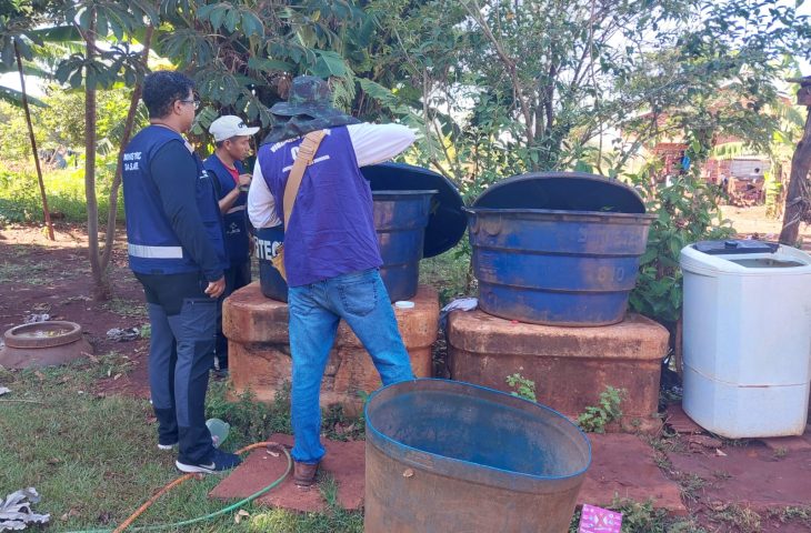 Governo de MS adota medidas para conter chikungunya