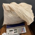 Mulher é detida por maus-tratos e tráfico de drogas em Ponta Porã