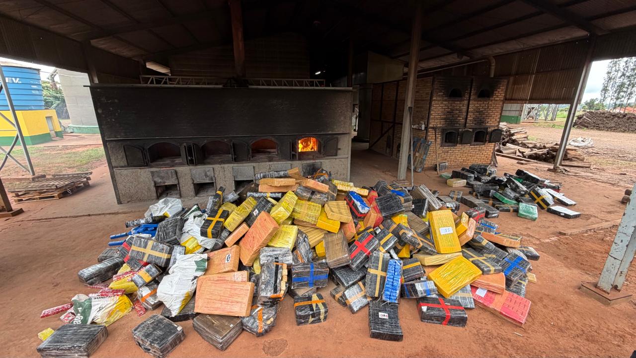 Polícia Civil de Mundo Novo queima mais de 6 toneladas de drogas