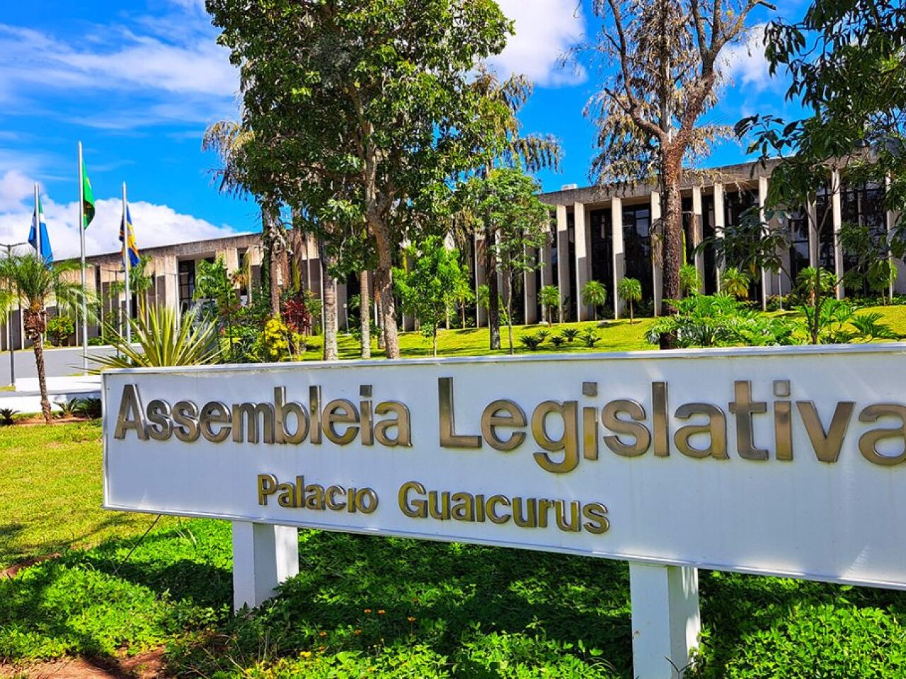 AL/MS assegura prioridade escolar para filhos de mulheres vítimas de feminicídio